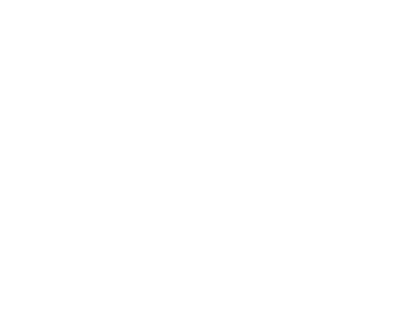 Castle Gate Security